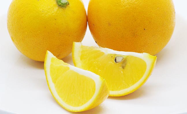 国産の有機栽培のマイヤーレモンを産地直送で！佐賀のベテラン農家からおおくりいたします / 産地直送 まるかじり九州