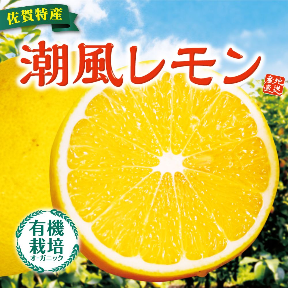 レモン☆ 国産有機レモン】佐賀県よりオーガニックレモンを産直通販でお