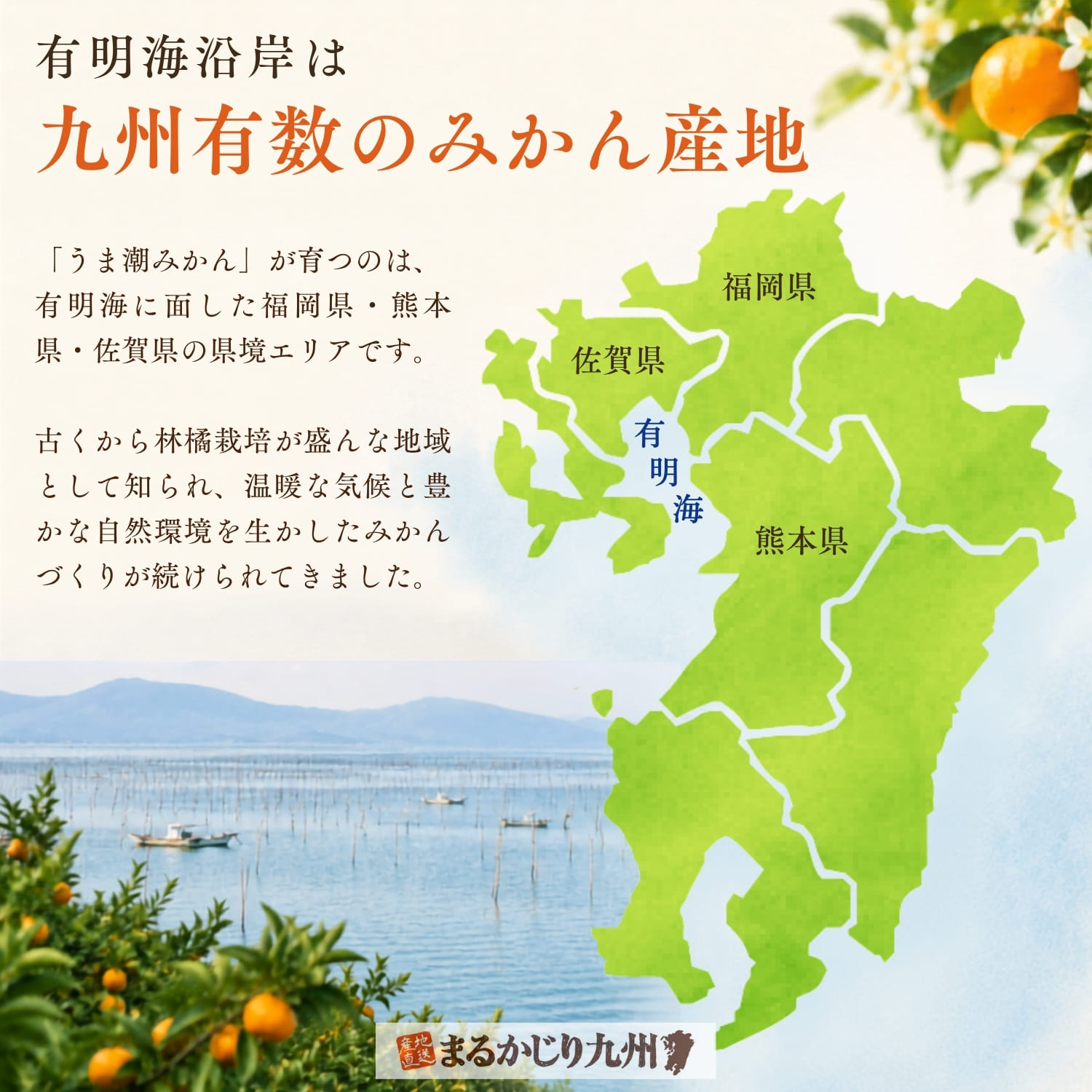 有明海沿岸のみかん産地を示した地図
