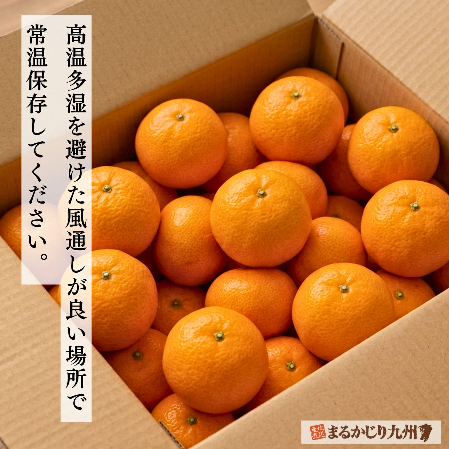温州みかんを風通しよく保存している様子