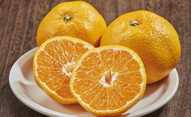 九州が誇る柑橘類の名産地から、食べ頃を迎えた温州ミカンをお届けします。