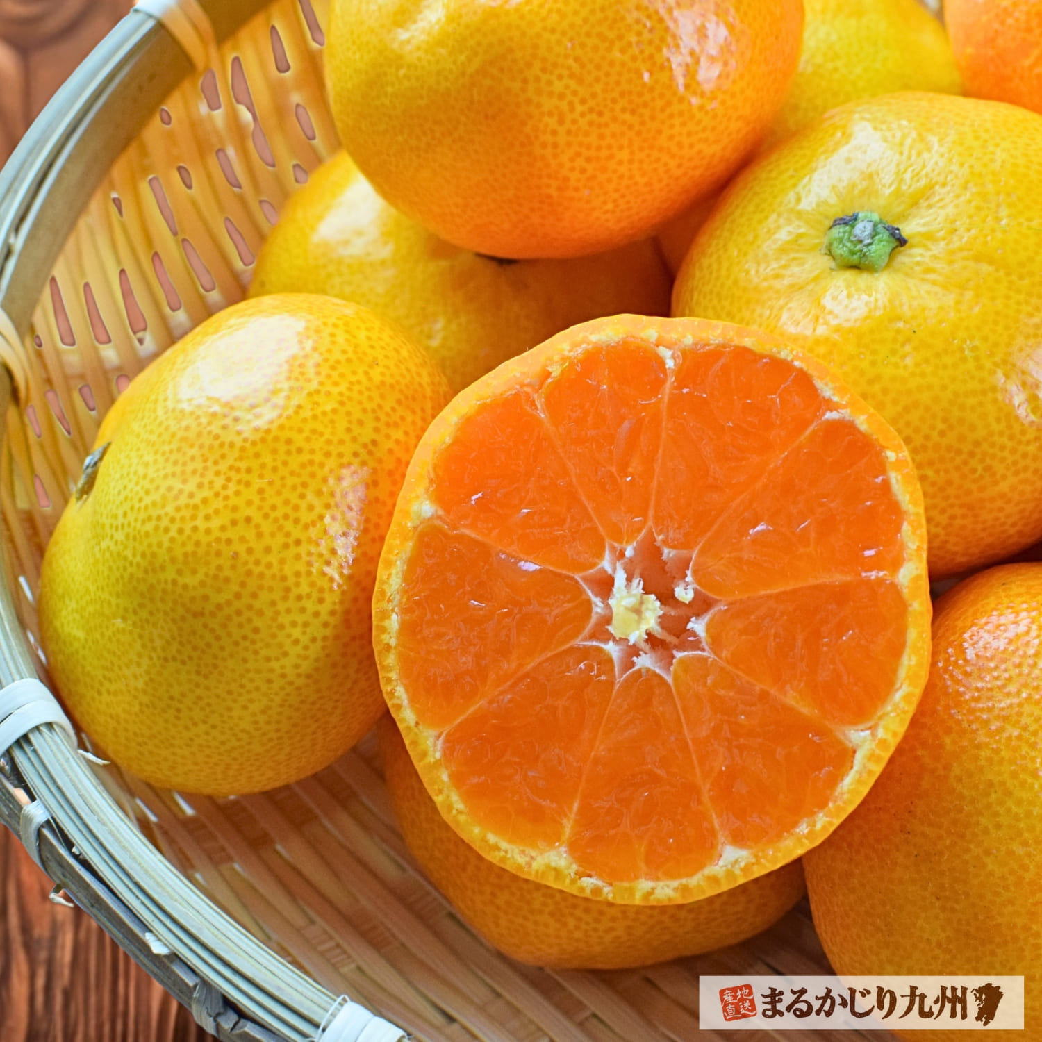 九州の契約農家で収穫された旬の温州みかん
