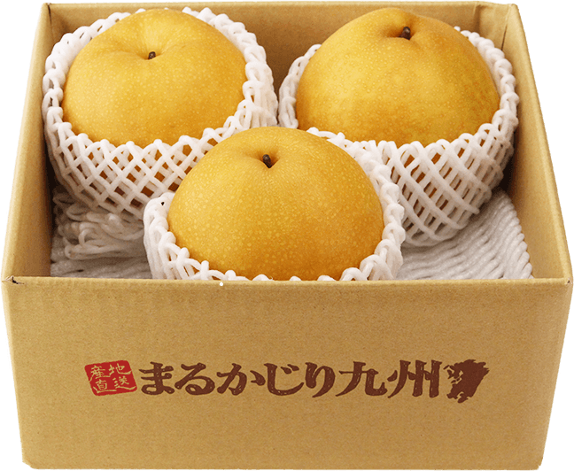 梨の美味しい品種「豊水」または「新高」をお取り寄せ!