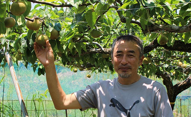「庄内・藤原なし園」代表の藤原司さん