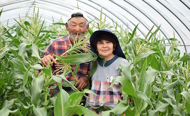 伝説の人気とうもろこしと言われる”すごあまこーん”を生産している卯野英治さんと妻のれい子さん