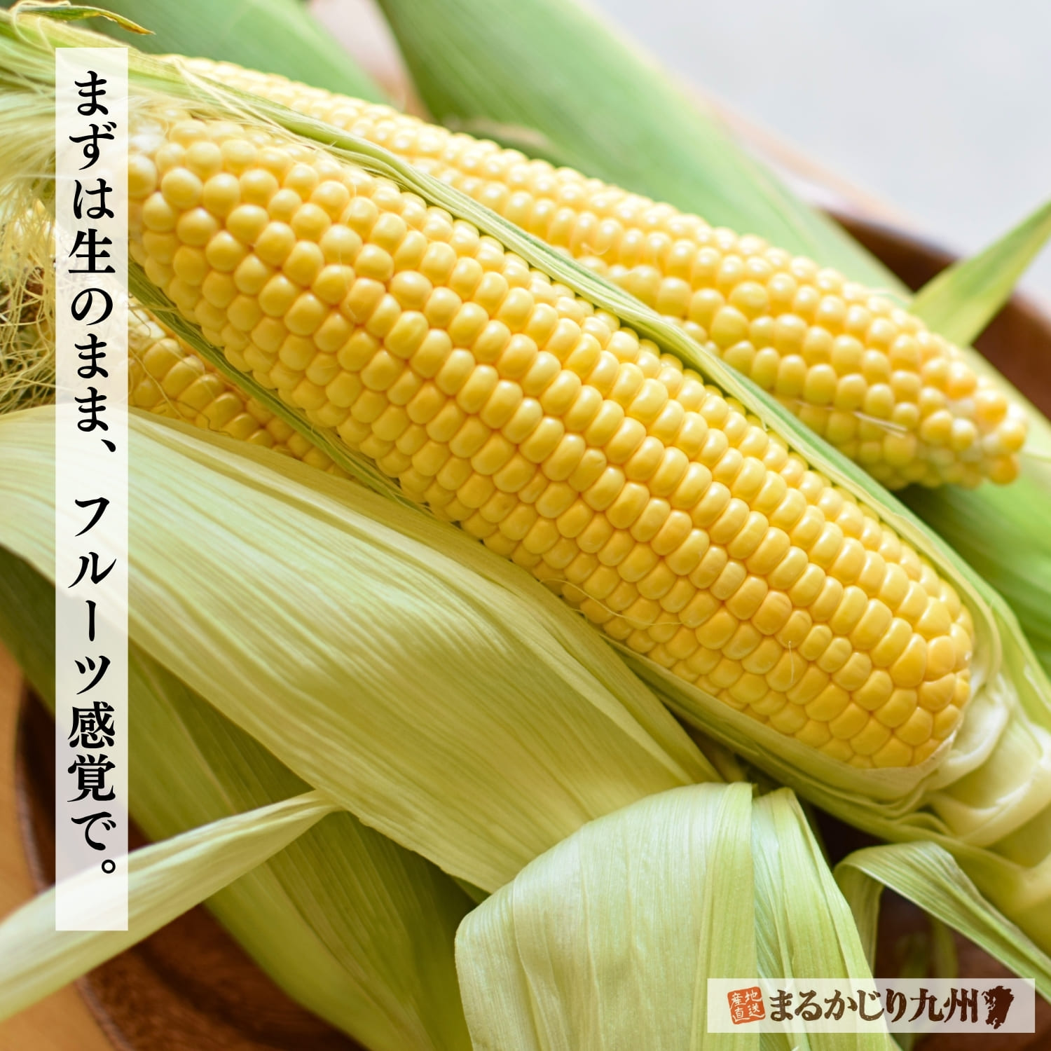 瑞々しい粒が並ぶ新鮮な高原スイートコーン