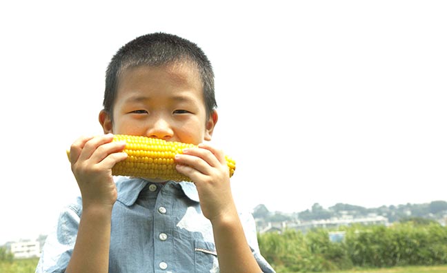 栄養分豊富なとうもろこしは、夏バテ予防にもオススメの野菜です。