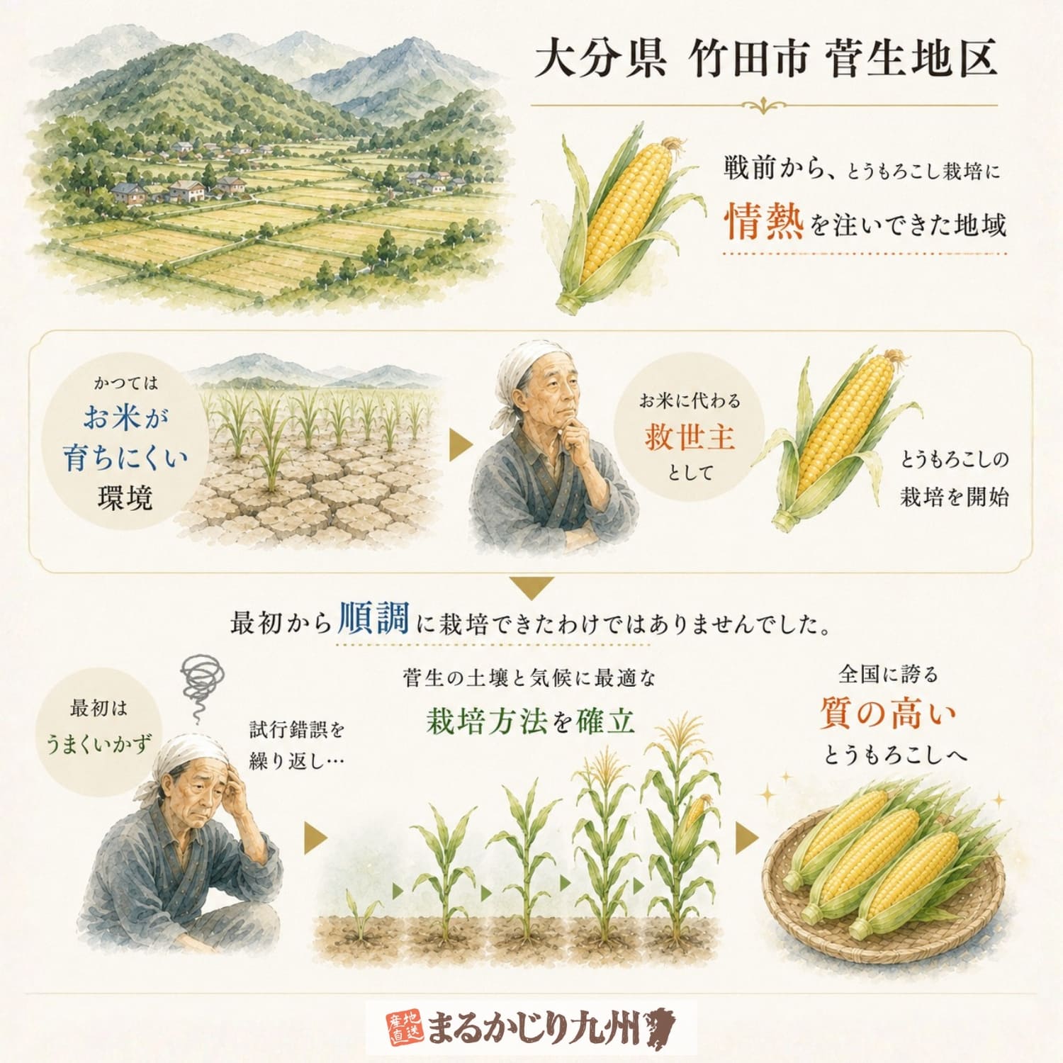 大分県竹田市・菅生（すごう）地区で受け継がれてきたとうもろこし栽培の歴史と、試行錯誤を重ねて高品質なスイートコーン産地へ発展した背景を描いた図解