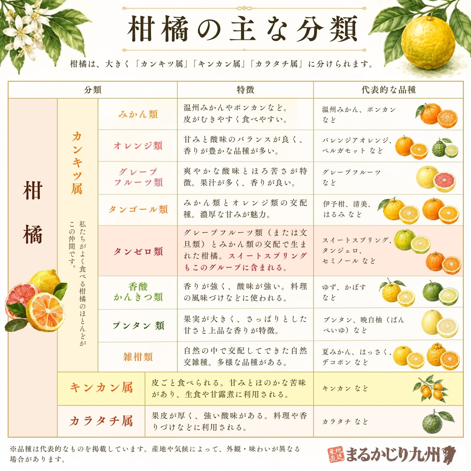 有機栽培 スイートスプリング】八朔と温州みかんの掛け合わせで生まれ