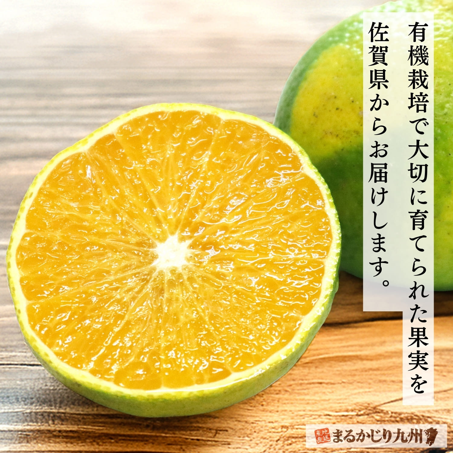 佐賀県産スイートスプリングを産地直送でお届け