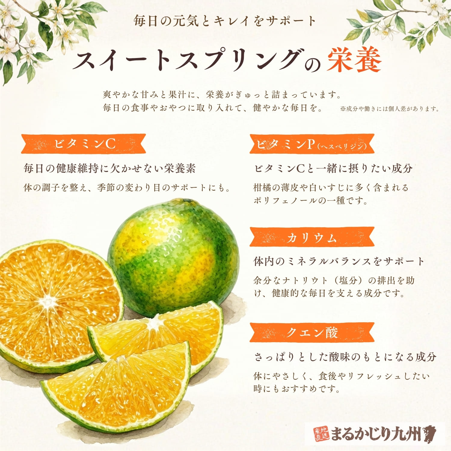 有機栽培 スイートスプリング】八朔と温州みかんの掛け合わせで生まれ