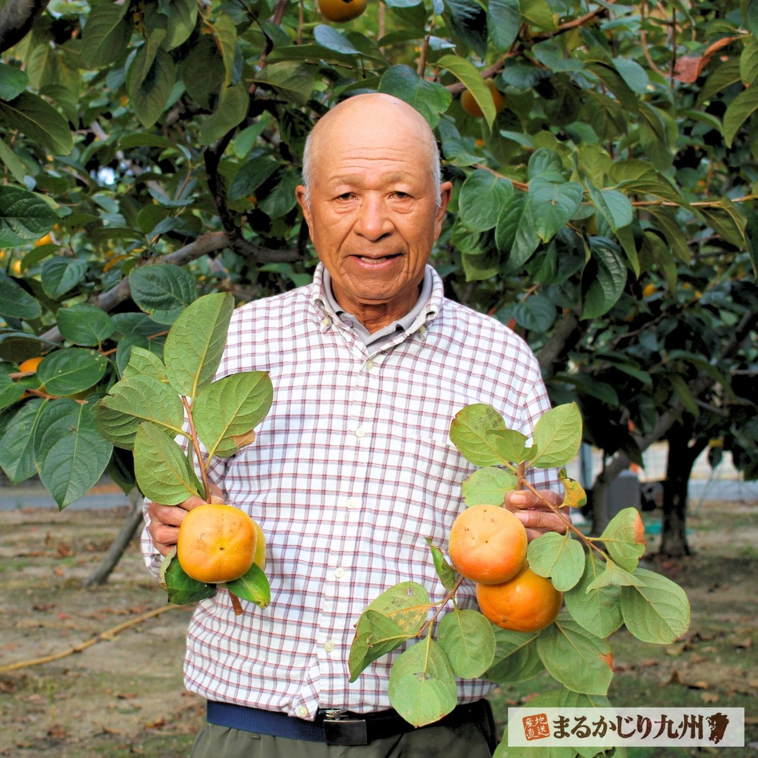 柿農家の行徳哲夫さん