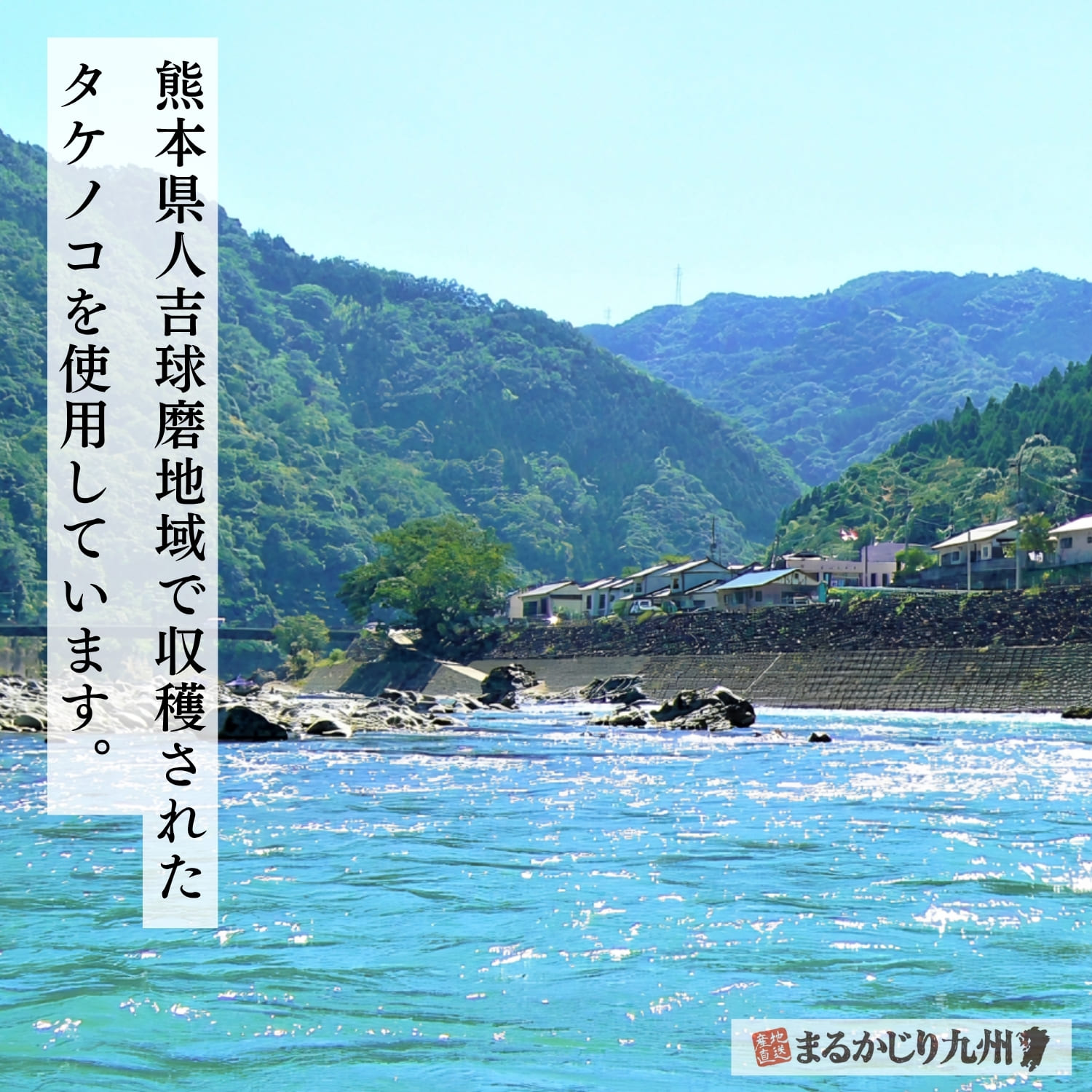 熊本県南部の人吉球磨地域で作られる筍ご飯の素