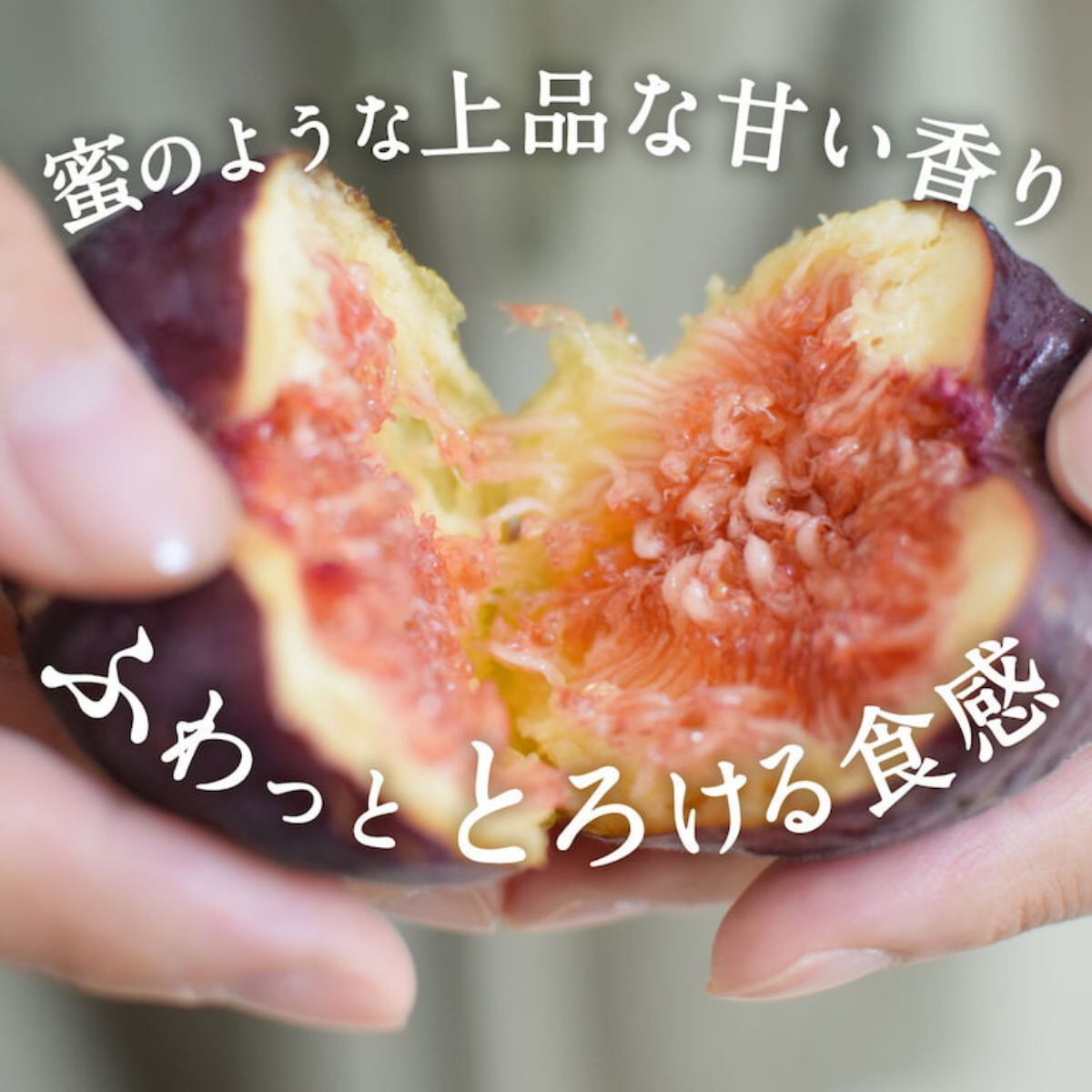 蜜のような上品な甘い香りにふわっととろける食感