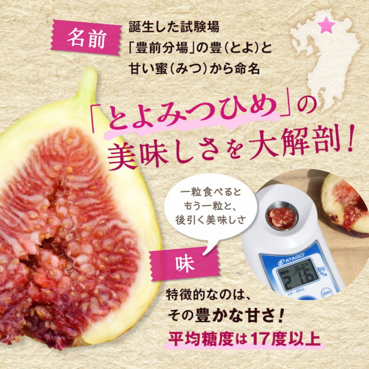 とよみつひめの美味しさを大解剖