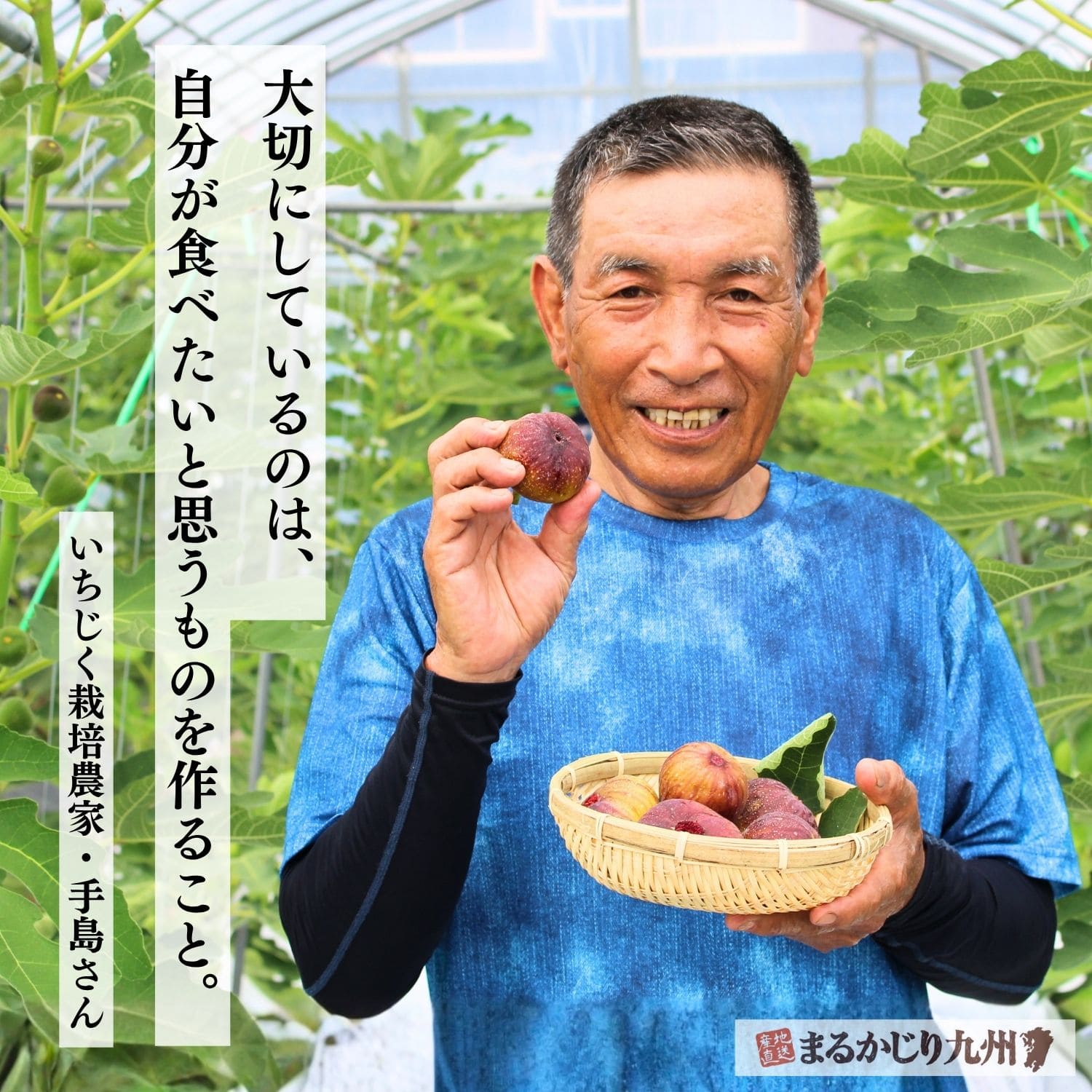 福岡県朝倉市で博多とよみつひめを育てる契約農家の手島博行さん