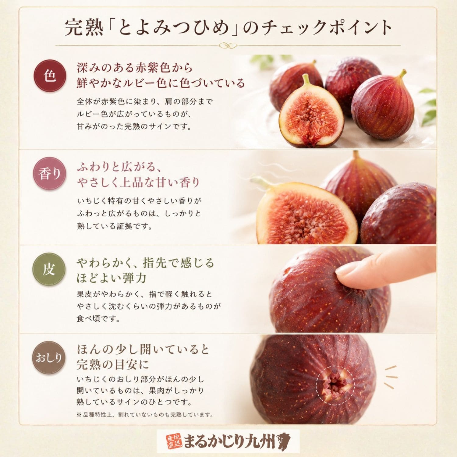 博多とよみつひめの完熟を見分けるポイント