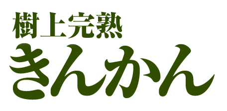 樹上完熟きんかん うめっちゃが を産地直送でお届け 九州フルーツの通販 まるかじり九州 産地直送 まるかじり九州 樹上完熟きんかん うめっちゃが を産地直送でお届け 九州フルーツの通販 まるかじり九州 産地直送 まるかじり九州