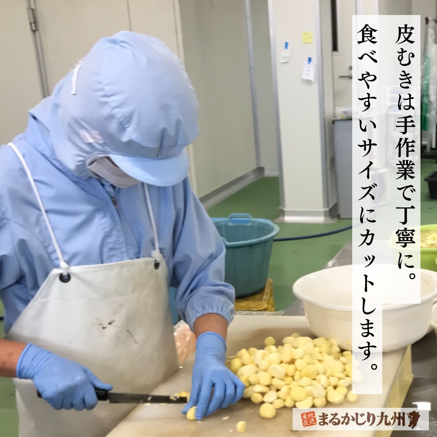 一つずつ手作業で熊本県産球磨栗の皮を剥く作業風景