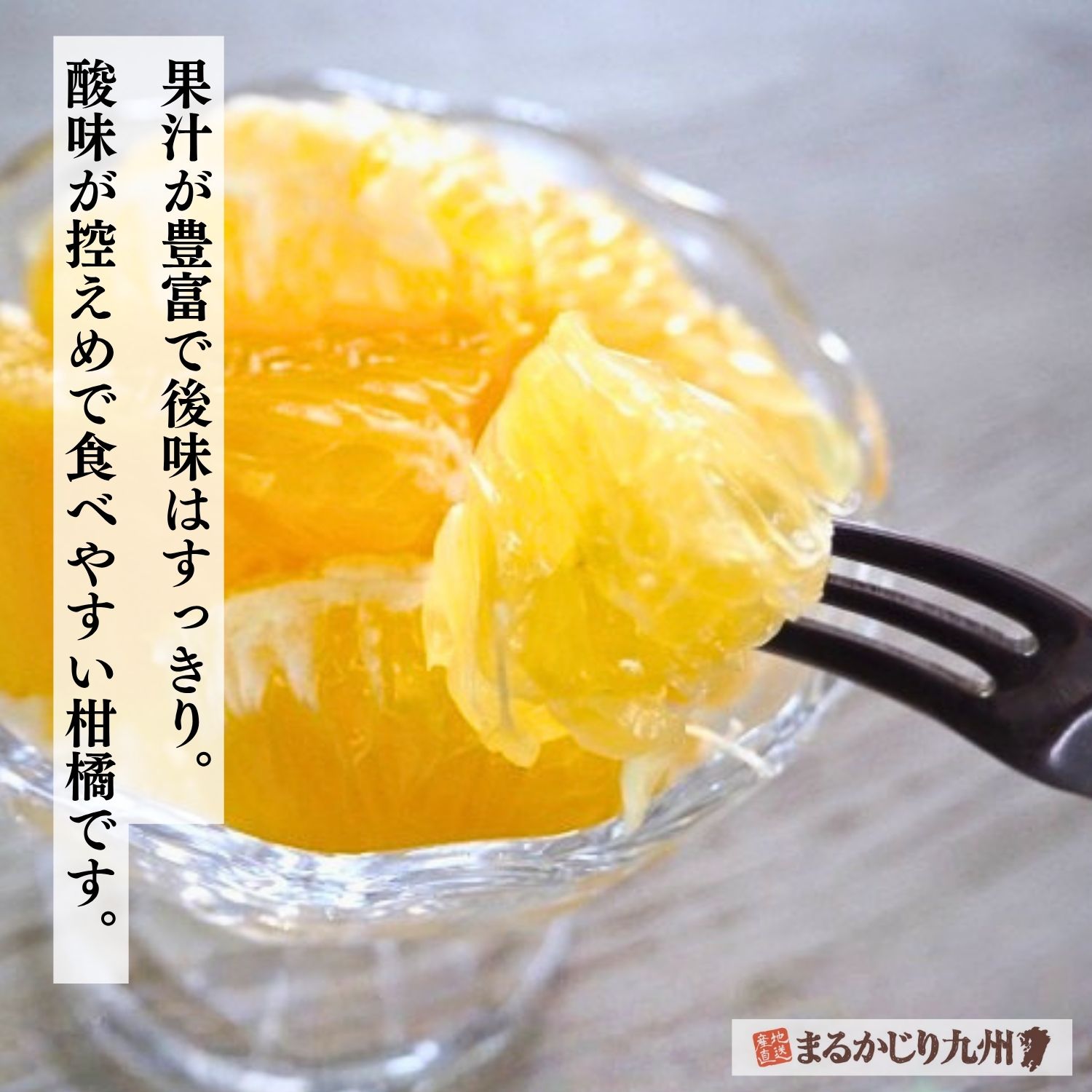 和製グレープフルーツと呼ばれる河内晩柑の果実