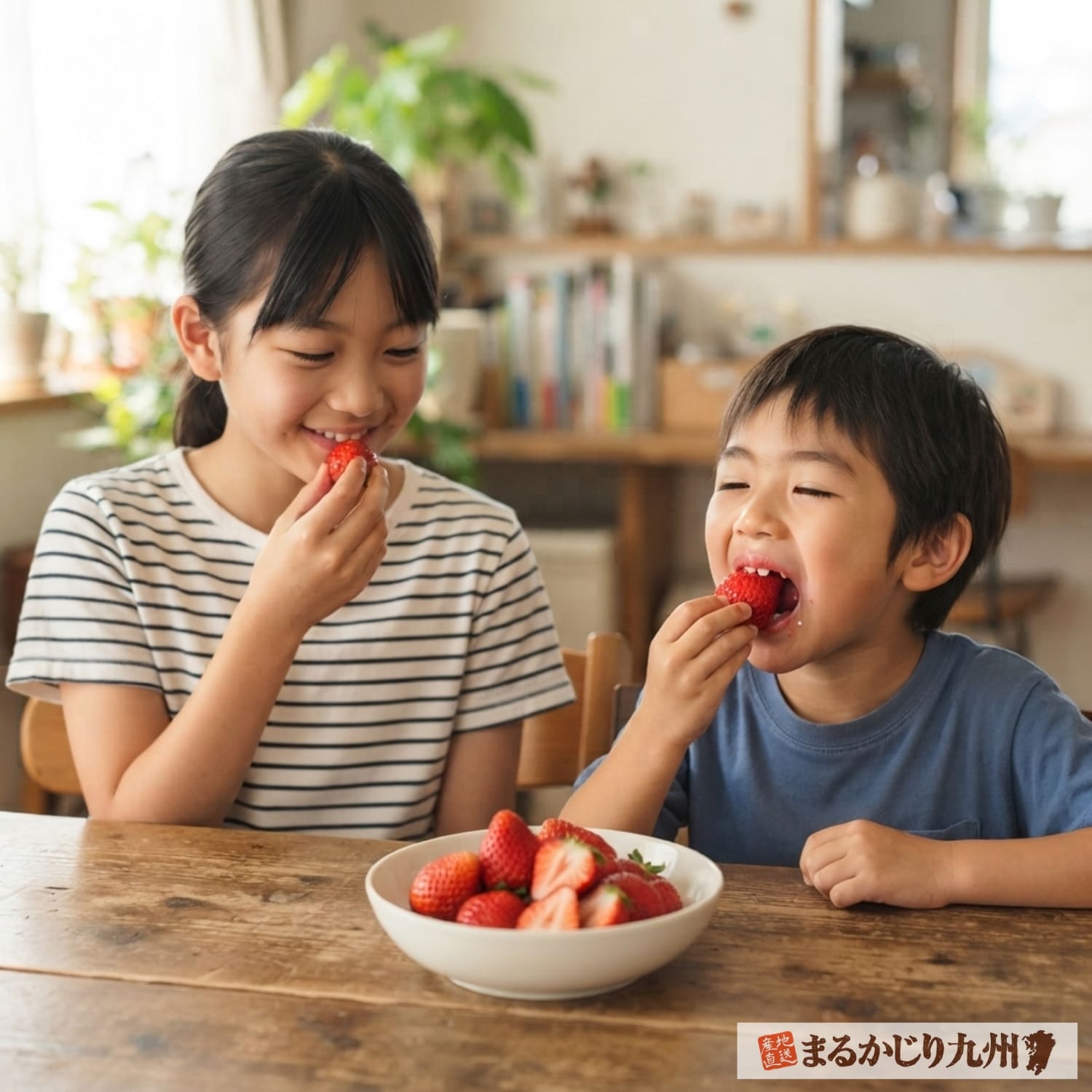 熊本県産ゆうべにイチゴを美味しそうに食べる日本人の小学生の姉弟