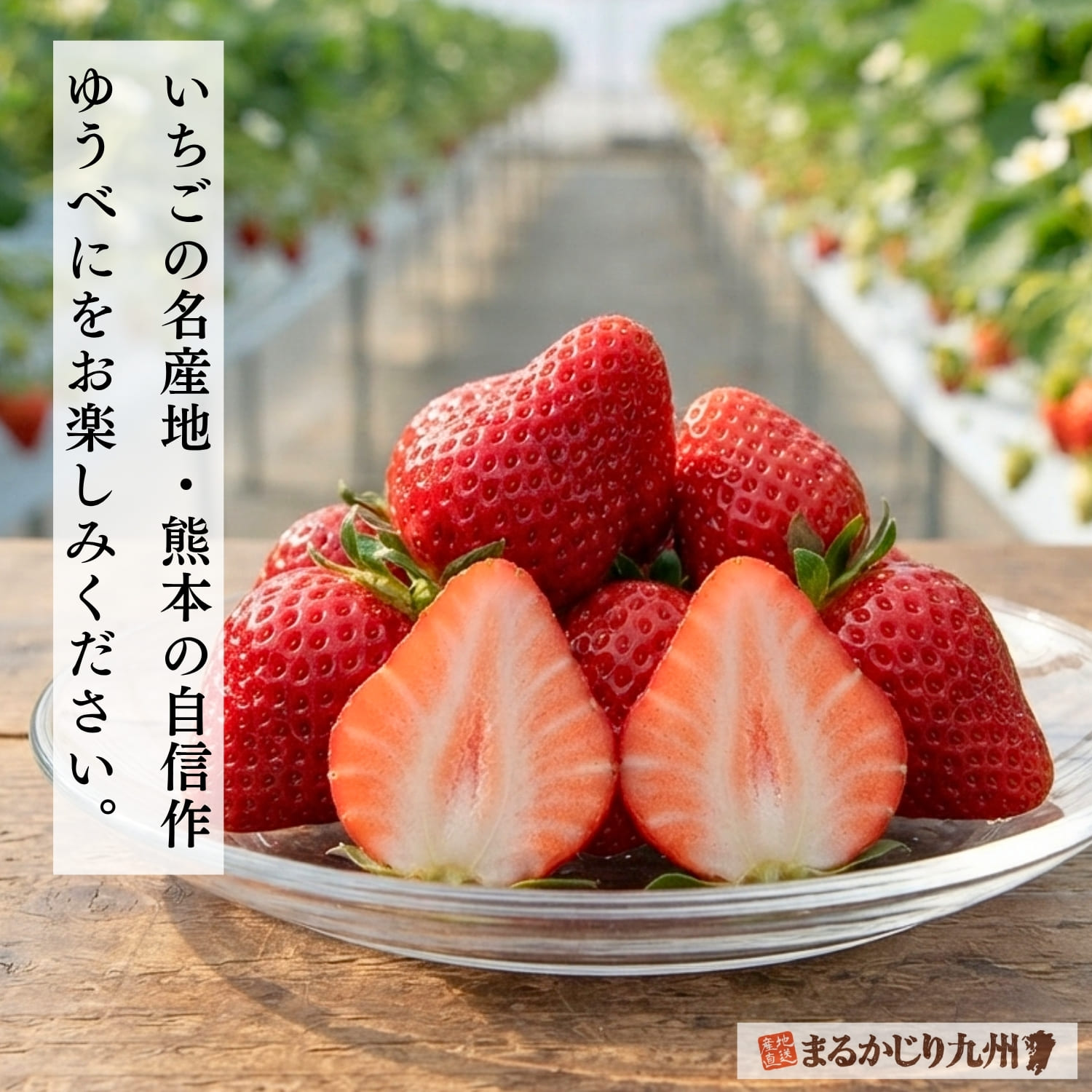 熊本県産ゆうべにを産地直送でお届け