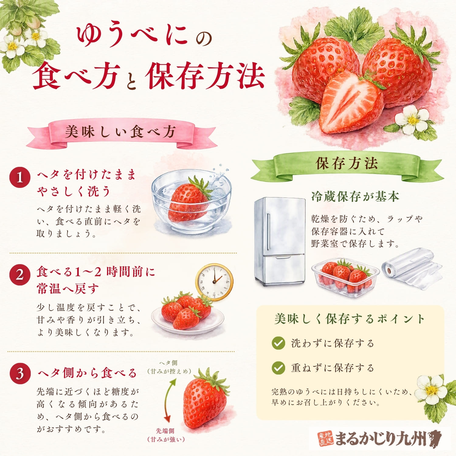 熊本県産イチゴゆうべにの美味しい食べ方と保存方法を紹介したインフォグラフィック