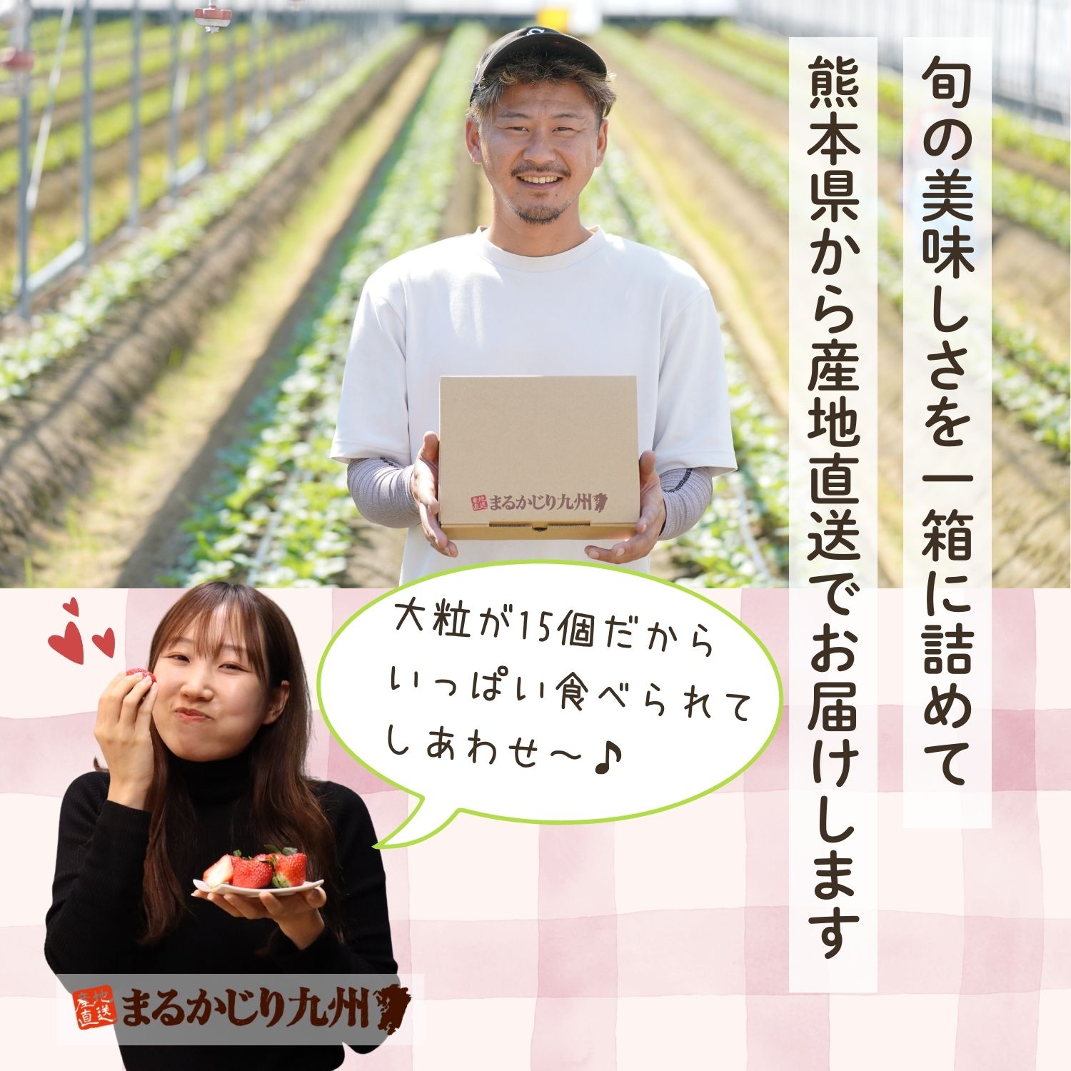 大粒の苺が15個も入っているから食べ応え抜群！