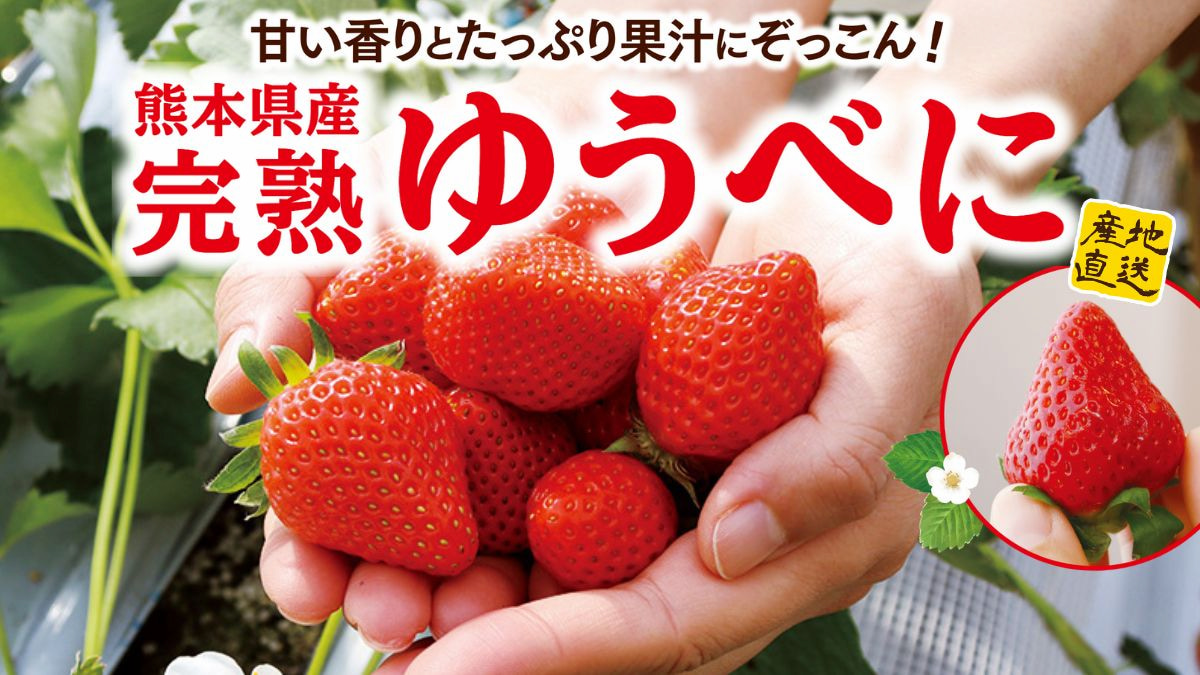 熊本県産 完熟ゆうべに