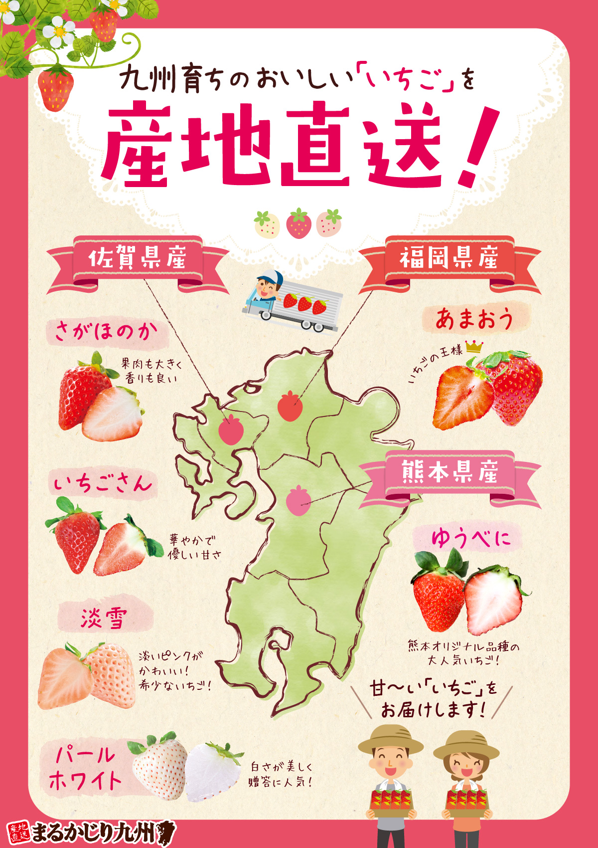 九州の苺の産地一覧