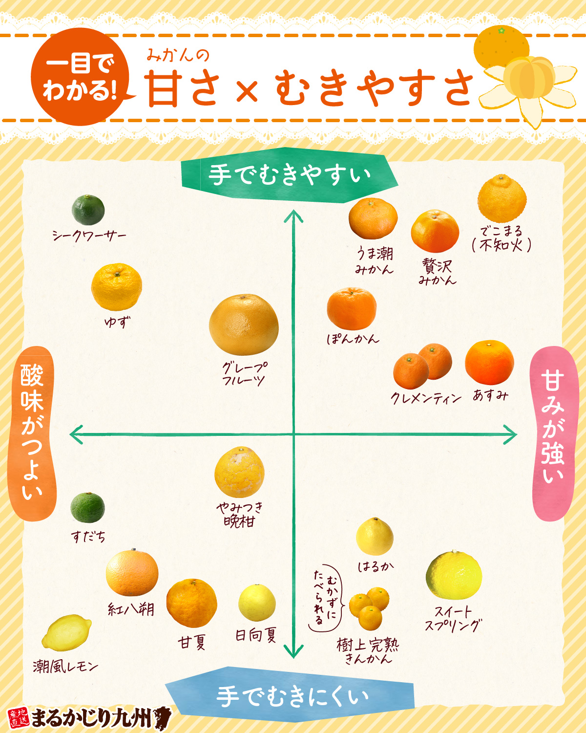 かんきつの甘さ・みきやすさチャート・みかんチャート