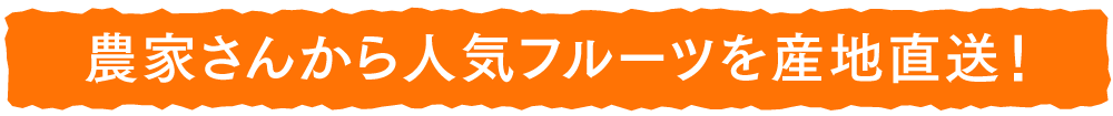 農家さんから人気フルーツを産地直送！