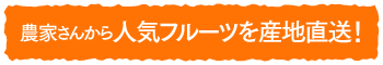 農家さんから人気フルーツを産地直送！