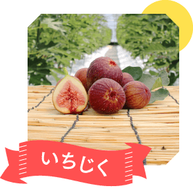 いちじく