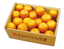 11月果物箱画像