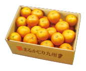 11月果物箱画像