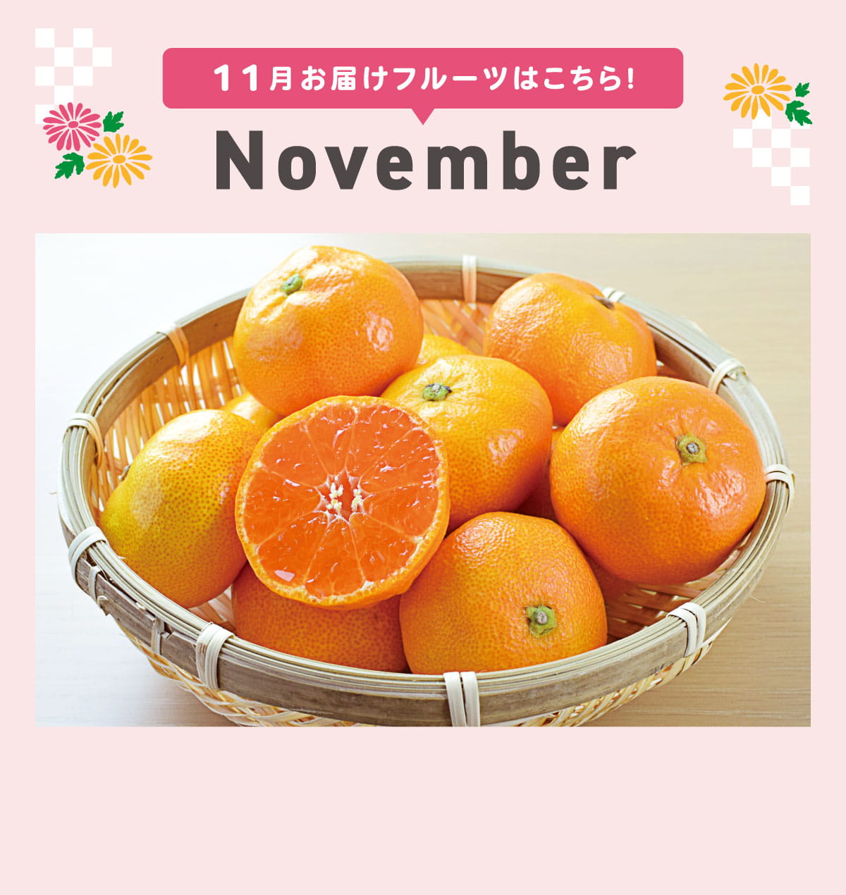 11月pc