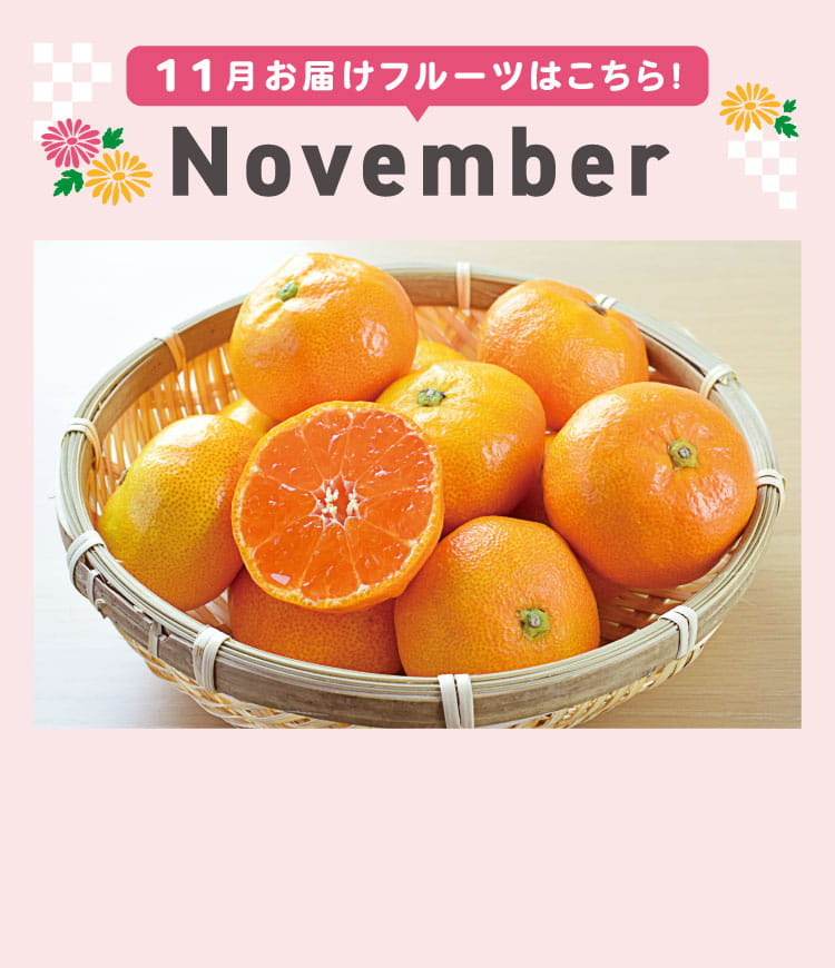 11月sp