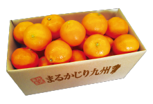 12月果物箱画像