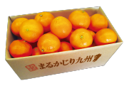 12月果物箱画像