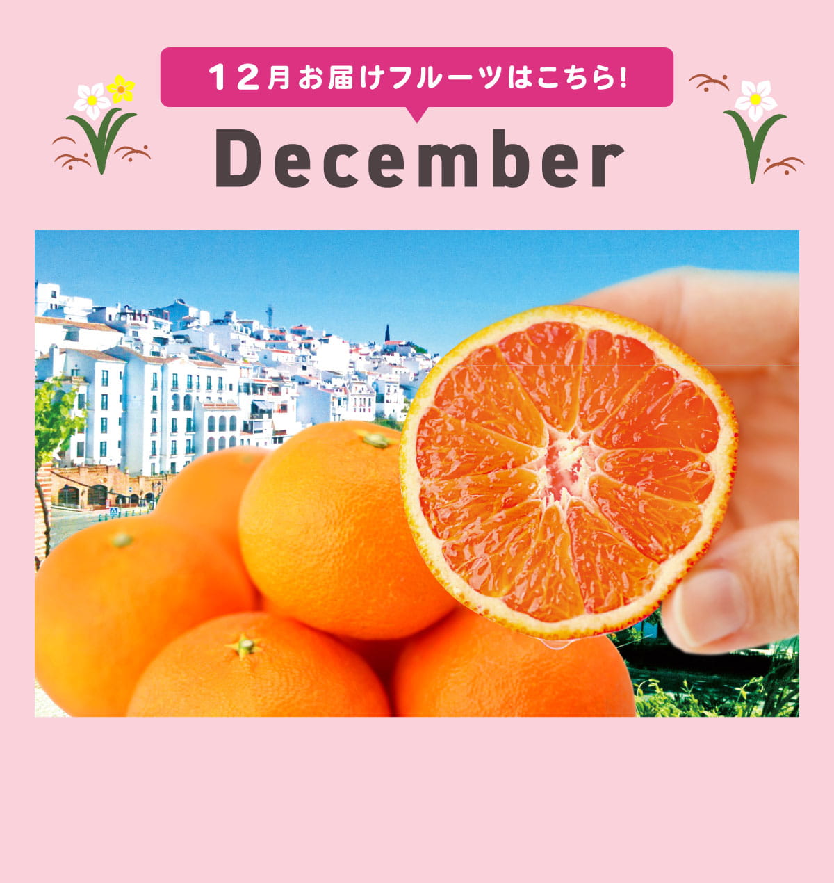 12月pc