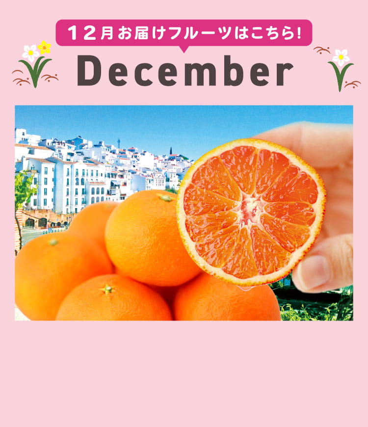 12月sp