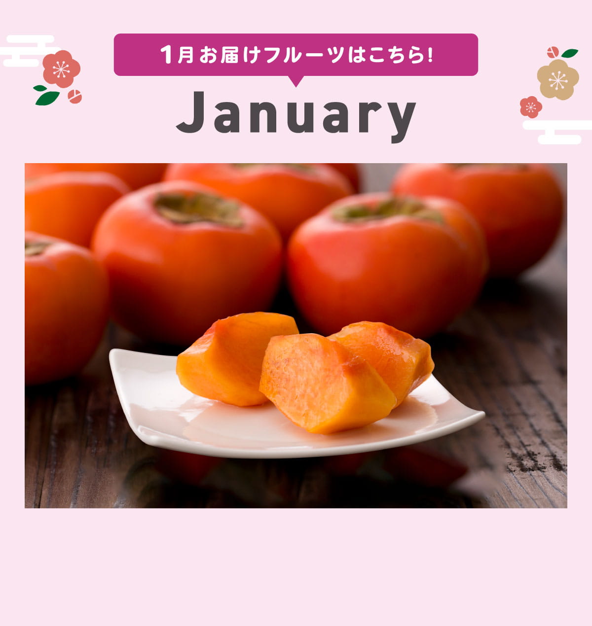 1月pc