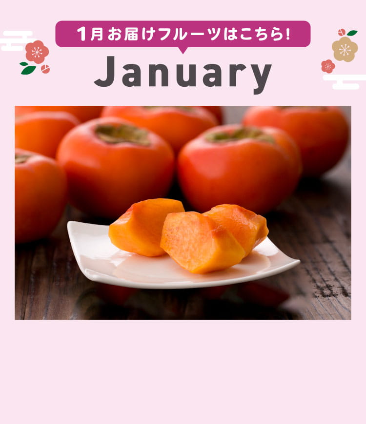 1月sp