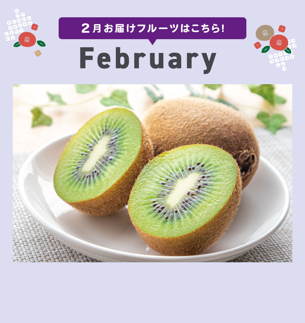 2月pc