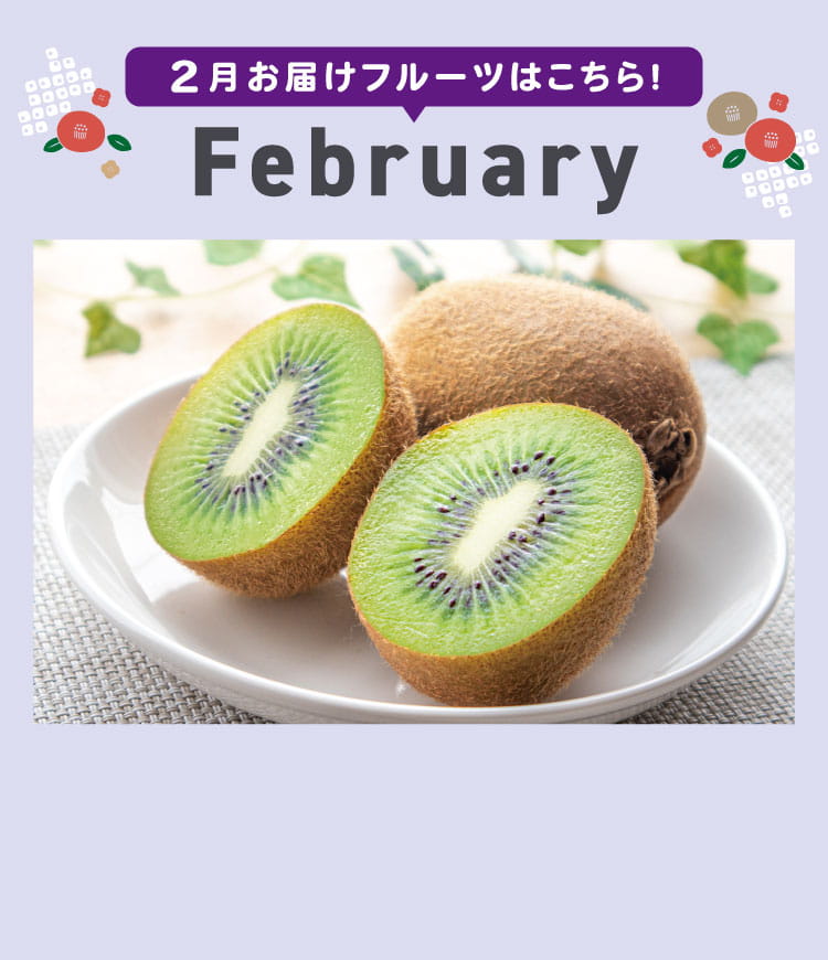 2月sp