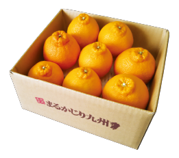 3月果物箱画像