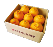 3月果物箱画像