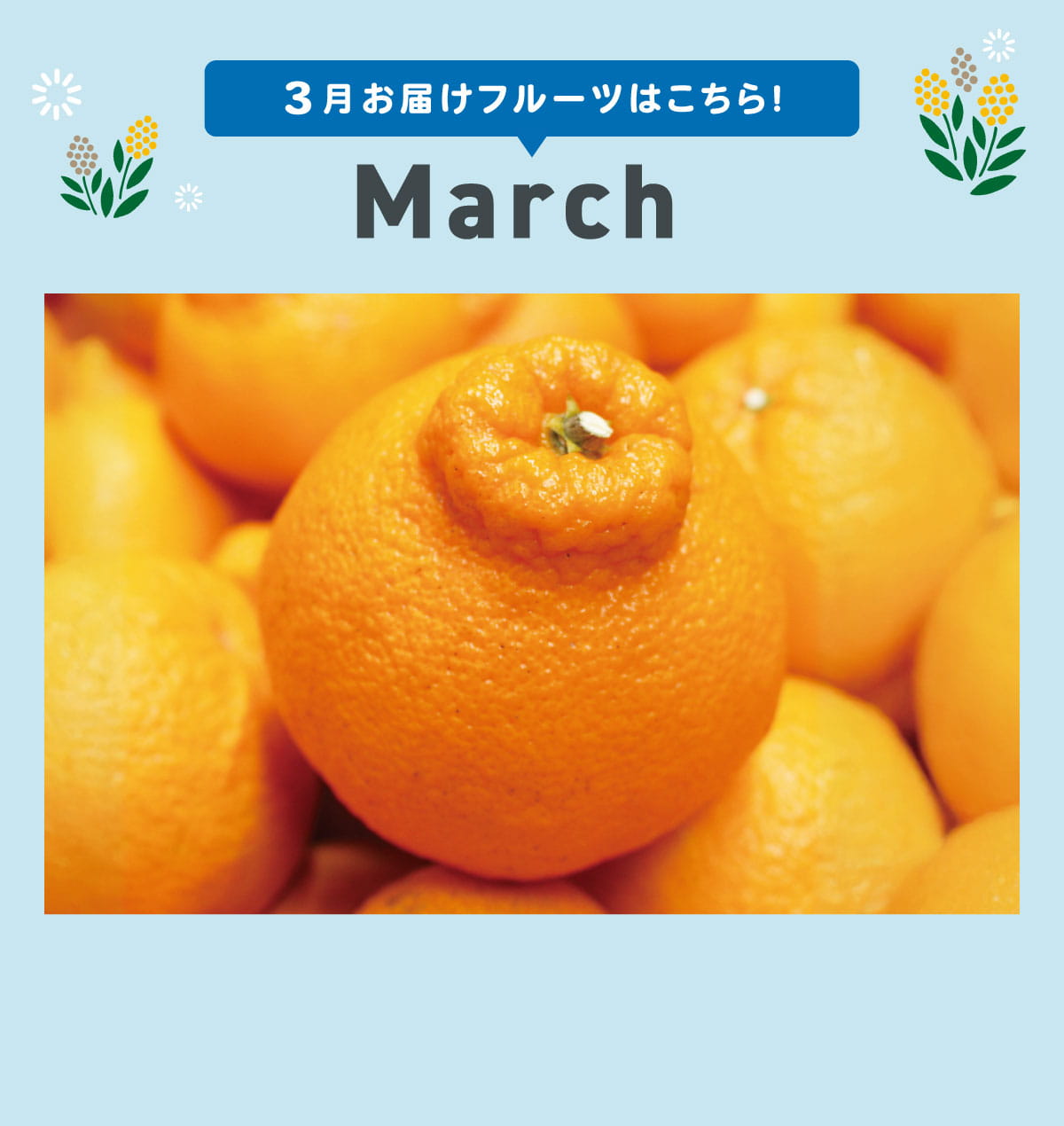 3月pc