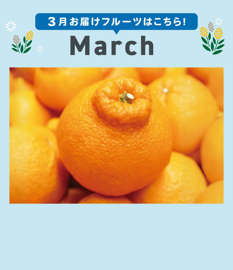 3月sp